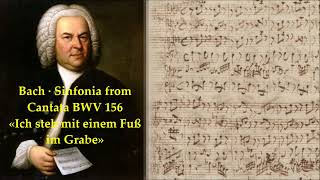 Bach Sinfonia BWV 156 Golden Meantone [upl. by Schlesinger]