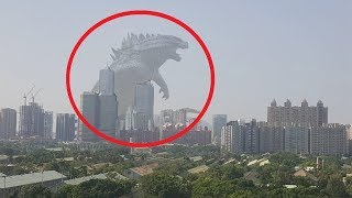 Top 10 Godzilla Caught On Camera And Spotted In Real Life That Will Shock You [upl. by Bergen]