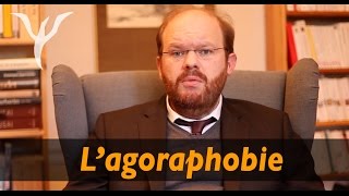 Agoraphobie les questions et surtout les réponses pour tous les agoraphobes [upl. by Gorey710]