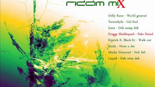 Hot Water Riddim Mix Mar 2012 Madd Spider Production [upl. by Wartow]