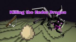 Ender Dragon Defeated with Eggs [upl. by Anneyehc]