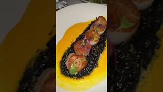 Scallops with Nero risotto plus wagyu steak scallops risotto finedining wagyu steak toronto [upl. by Gassman]