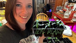 Zone 4 garden  Seeds to sow in March  Whats happening this month [upl. by Wane577]