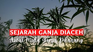 44 TIPS MENGGUNAKAN LIDAH BUAYA UNTUK PERAWATAN KULIT [upl. by Yetah]