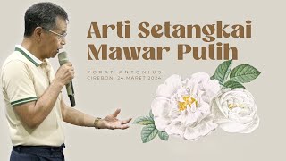 MAKNA DARI SETANGKAI MAWAR PUTIH [upl. by Ailecara]