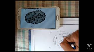 How to draw a crustose  lichens [upl. by Togram527]