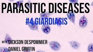 Parasitic Diseases Lectures 4 Giardiasis [upl. by Suneya]