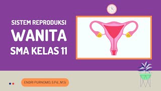 SISTEM REPRODUKSI MANUSIASISTEM REPRODUKSI WANITAHUMAN REPRODUCTIONBIOLOGI SMA KELAS XI [upl. by Yrak549]