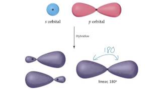 Orbital Hybridization sp3 sp2 sp sigma [upl. by Dyun]