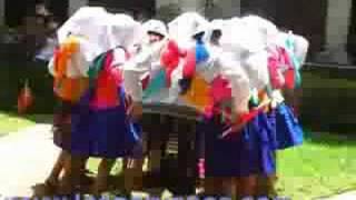 Carnaval de Arapa azangaro puno peru danza [upl. by Katalin3]