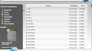 Demo of my file manager Dolphinphp opening directories up to 500k files [upl. by Leuneb704]