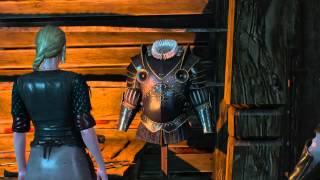 Witcher 3 Wild Hunt  Master Armor Quest  Unlocks Mastercrafted Armor [upl. by Nydia875]