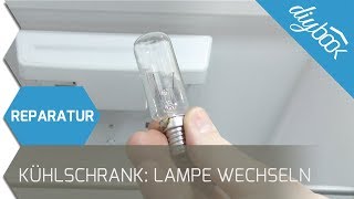 Kühlschrank  Lampe wechseln [upl. by Itsrik]