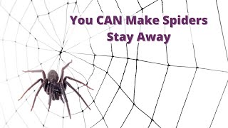 Get Rid of Spiders the Easy Way [upl. by Clea734]