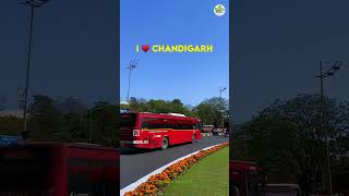 chandigarh city 🎊🎊🎊🎊🎉🎉🎉🎉♥️♥️♥️ [upl. by Viguerie]