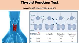 Tsh Test procedure TSH Test in elisa analyzer [upl. by Neelsaj]