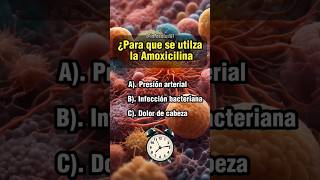 Para que sirve la Amoxicilina quiz sabiasque salud medicina farmacia medicamentos [upl. by Ayila]