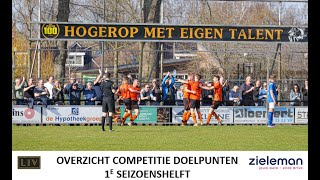 SV Nieuwleusen  Compilatie competitiegoals [upl. by Blancha883]