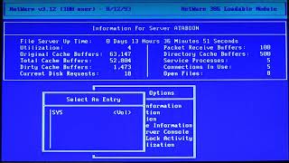 NetWare 312 Console Monitor 2 [upl. by Eitnom888]