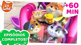 44 Gatos  60 MINUTOS de episódios completos [upl. by Adok]