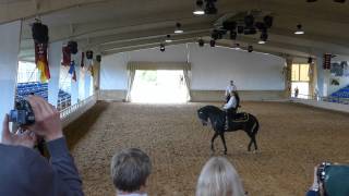 Menorcan Dressage Show 2014 [upl. by Ait171]