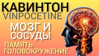 Кавинтон Vinpocetine Память Сосуды Головокружения Энергия l Польза или Вред [upl. by Aienahs]