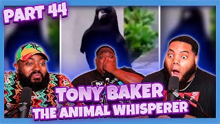 Tony Baker  The Animal Whisperer Part 44 Try Not To Laugh [upl. by Nesnaj421]