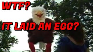 Man Bird Lays Egg  Eagleman  Eagle Insurance Commercial [upl. by Oilut419]