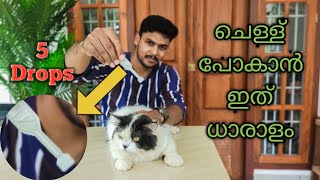 പൂച്ചയിലെ ചെള്ള് ഇനി എളുപ്പം കളയാം  Spot On Treatment In Cats For Flea Problems In Cats Malayalam [upl. by Aidole]