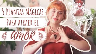 Atrae el AMOR con estas 5 PLANTAS MÁGICAS [upl. by Nahgem]