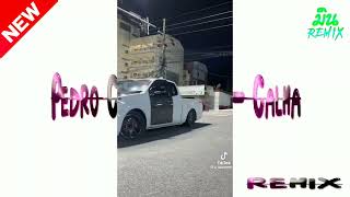 pedro capo farruko Calna มิน กำลังฮิตใน Tiktok Dj min remix🔰🔰🔰⏸️🎛️ [upl. by Nnahgiel]