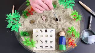 Ancient FOSSILS for KIDS 500 MILLION Years  Prehistoric Animals Species  Learn Geology Science [upl. by Einahpts]