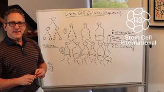 The Basics of Stem Cell Culturing for Treatment 1 844 GETSTEM [upl. by Erialb]