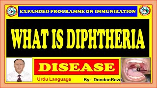 WHAT IS DIPHTHERIA DISEASE  DIPHTHERIA DISEASE  IN URDU [upl. by Ashton]