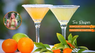 Martini Cocktail  2 Recipes  Kumquat Martini and Mandarin Orange  How to Make [upl. by Natika197]