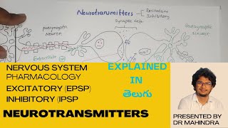 Neurotransmitters  Nervous system  Pharmacology [upl. by Stauder]