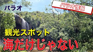 ミクロネシア最大の滝はここにあった【パラオ旅行】 [upl. by Irac]