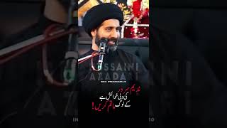 Nadeem Sarwar Ki Dil ki khwahish   Maulana Arif Kazmi  Imam Hussain Majlis 2024 [upl. by Margalit230]