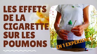 Les effets de la cigarette sur les poumons en 1 expérience [upl. by Methuselah]