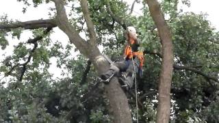 Das grosse Aufräumen nach dem Tornado in Langen Hessen [upl. by Idnahc]