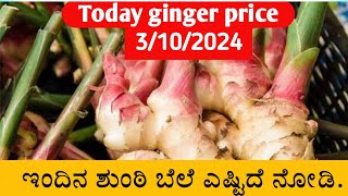 Today ginger price  Today ginger market price  Today ginger rate Today shunti bele [upl. by Aeynod]