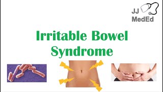 Irritable Bowel Syndrome IBS Causes Symptoms Bristol Stool Chart Types and Treatment [upl. by Nimzaj77]