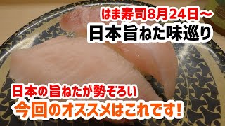 【はま寿司】 はま寿司の日本旨ねた味巡りを食べてきました！ 20230830 [upl. by Ailis]