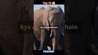 Top 10 Heaviest Animals on Earth 😱  दुनिया के 10 सबसे भारी जानवर 😱 shorts ytshorts shortsfeed [upl. by Awuhsoj]