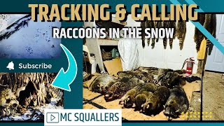 Easy way to locate Raccoons after First snow squallinghunting outdoors luckyduck mcsquallers [upl. by Marko]