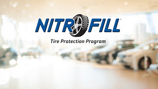 NitroFill Overview 2020 [upl. by Riocard608]