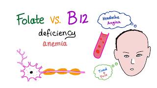 Folate Deficiency vs Vitamin B12 Deficiency  Diet and Nutrition  Hematology [upl. by Ahsenak]