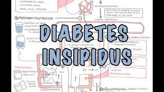 Diabetes Insipidus  Overview causes pathophysiology investigations [upl. by Herc]