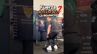 ¿Qué Animal Serías ¡Descúbrelo con Este Divertido Test 🦁🦉 [upl. by Toddie]