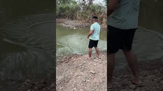 PAG Masemari🐟🐠🦀🦐🍤 shorts viral trending fish [upl. by Manus]